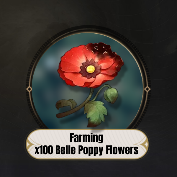 Belle Poppy Flowers